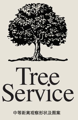 平面设计入门 如何为你的图片选择完美的英文字体搭配